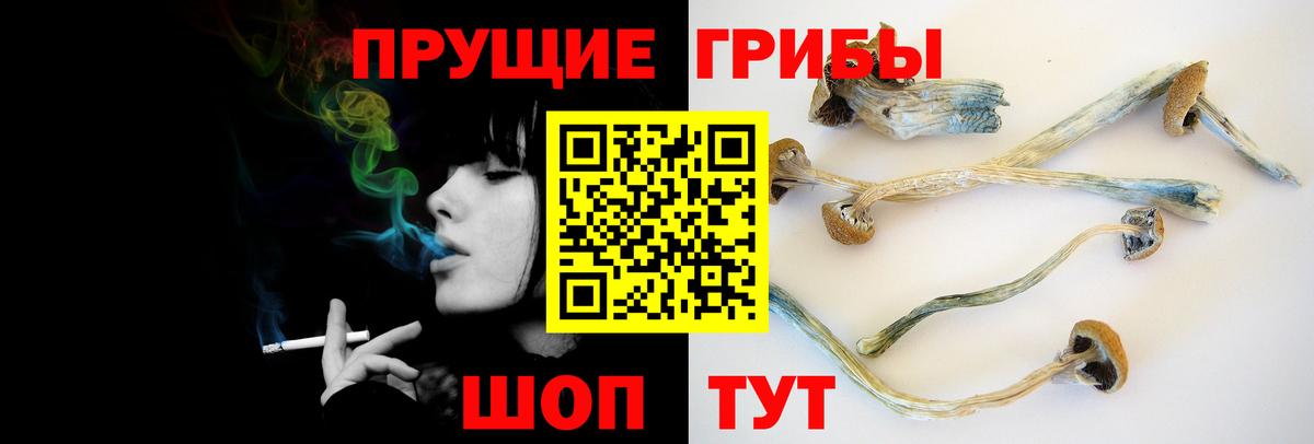 Псилоцибиновые грибы мицелий Кириши